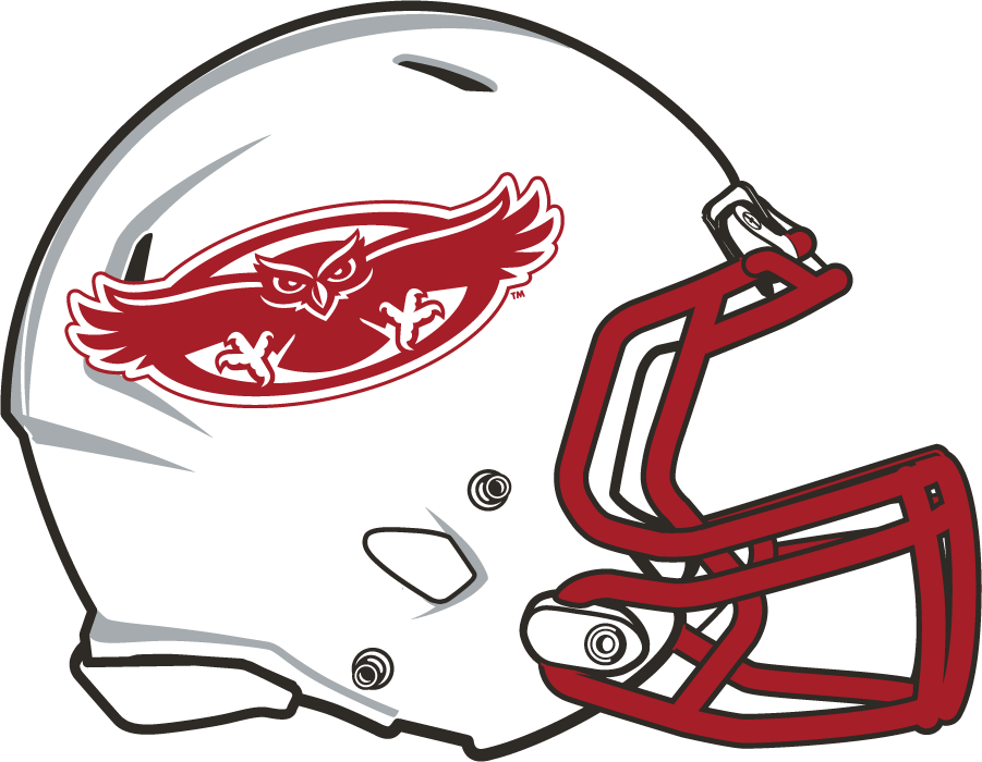 Florida Atlantic Owls 2015-2017 Helmet Logo iron on transfers for clothing